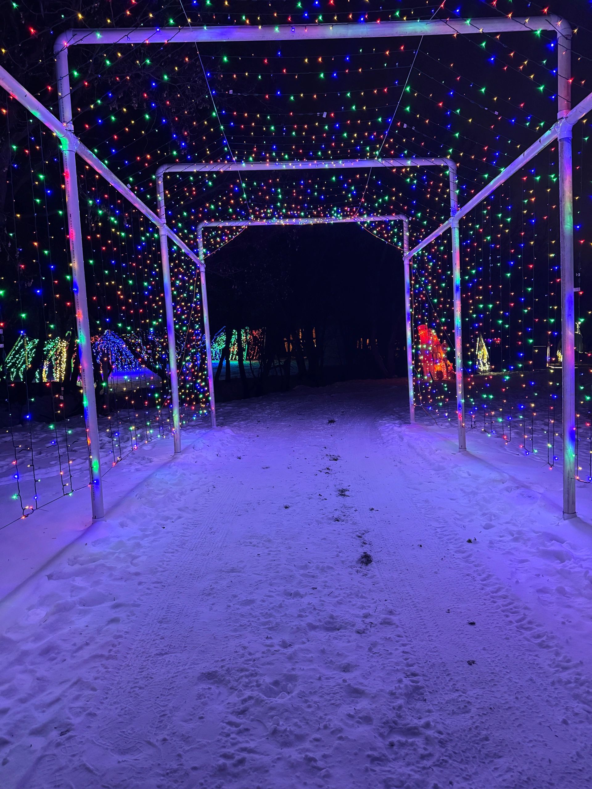 Walk-through tunnel covered in multicolor Christmas lights at Romantic Moon Festival of Lights