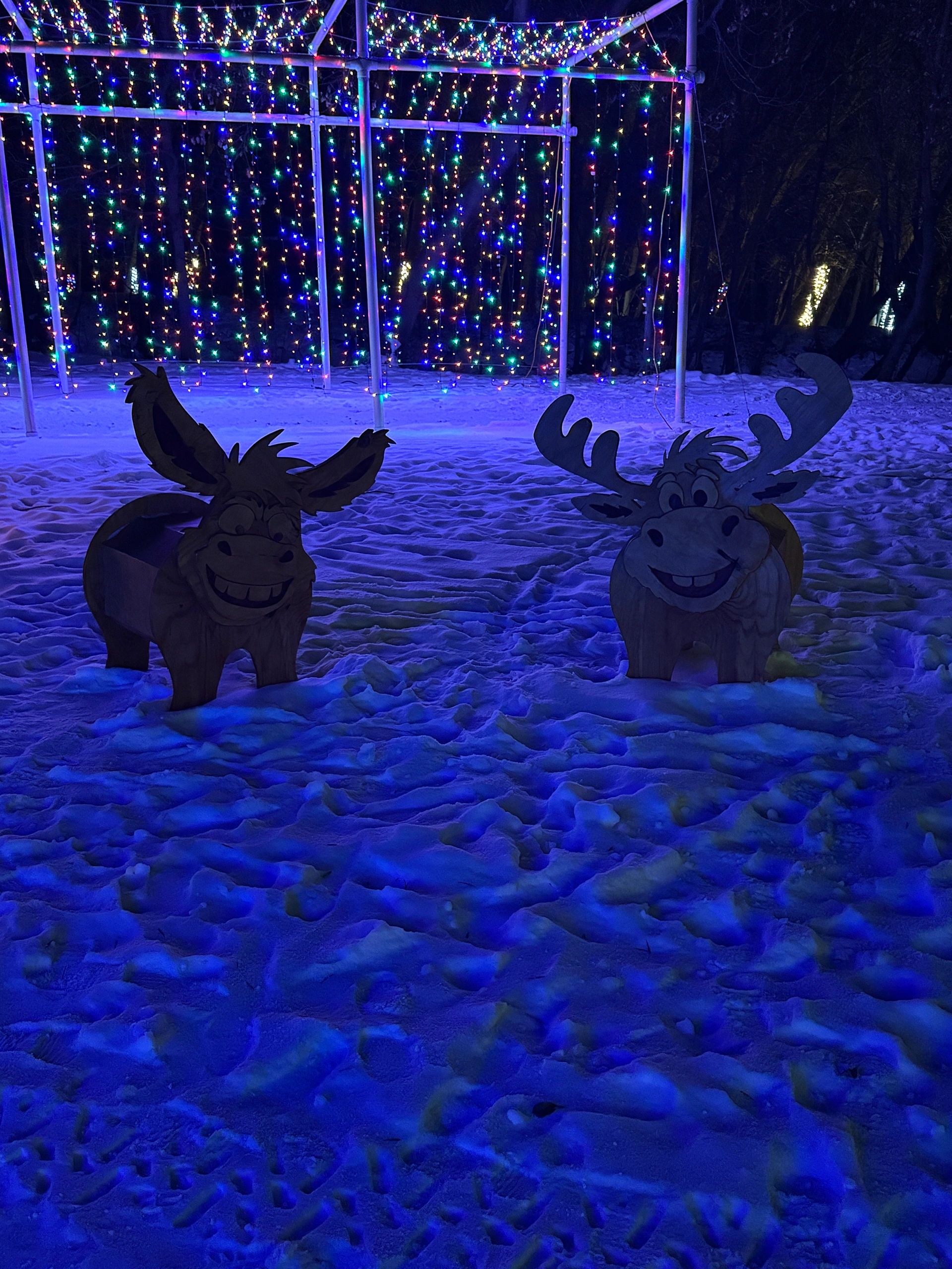 Reindeer cutout displays inside a multicolor Christmas light tunnel in the snow