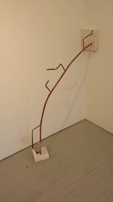 Minimalist sculpture of a bent branch fixed from floor to wall.
