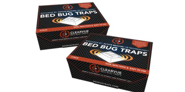 bed bugs