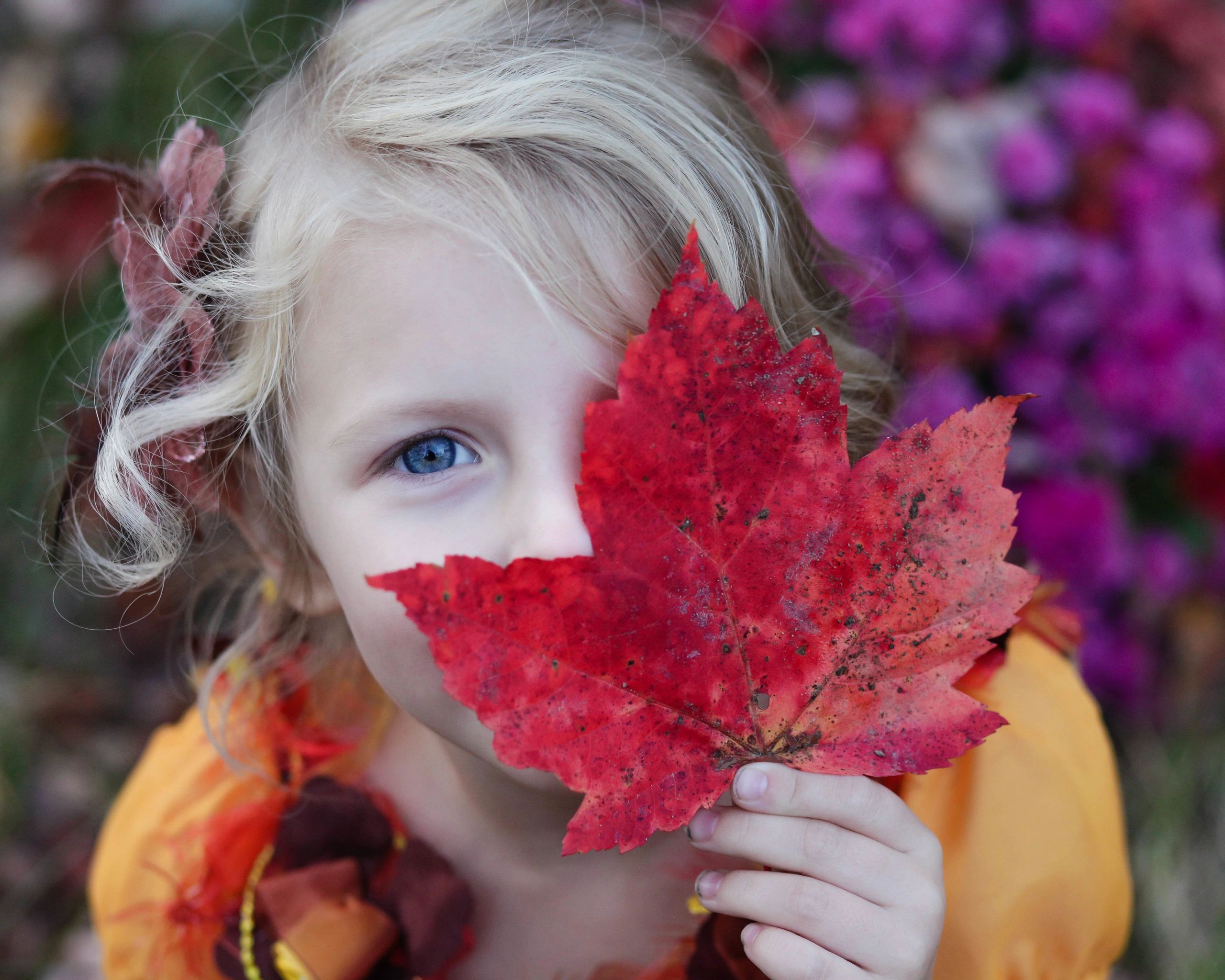 Is Active Learning Center 7 Right For Your Child? - 7odeeh8