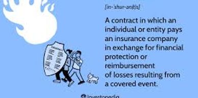 Licensed Insurance Construction Contractor