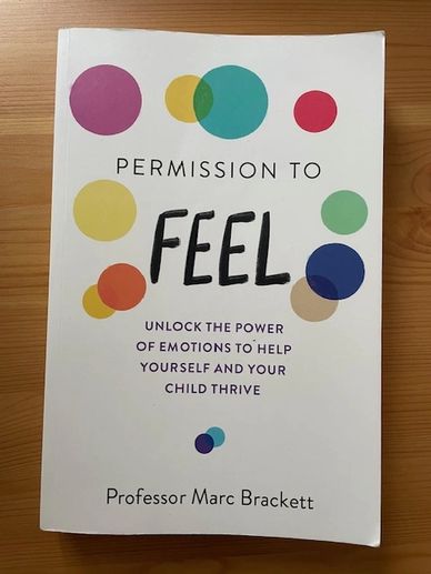 The book, Permission to Feel by Professor Marc Brackett. Unlock the power of emotions to help you 