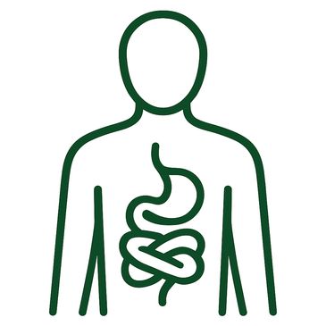 Upper body outline with stomach and knotted intestine symbol, depicting irritable bowel syndrome IBS