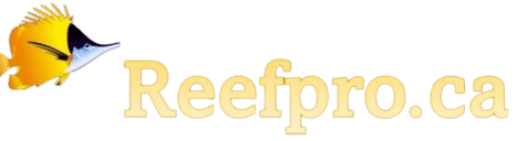 Reefpro.ca