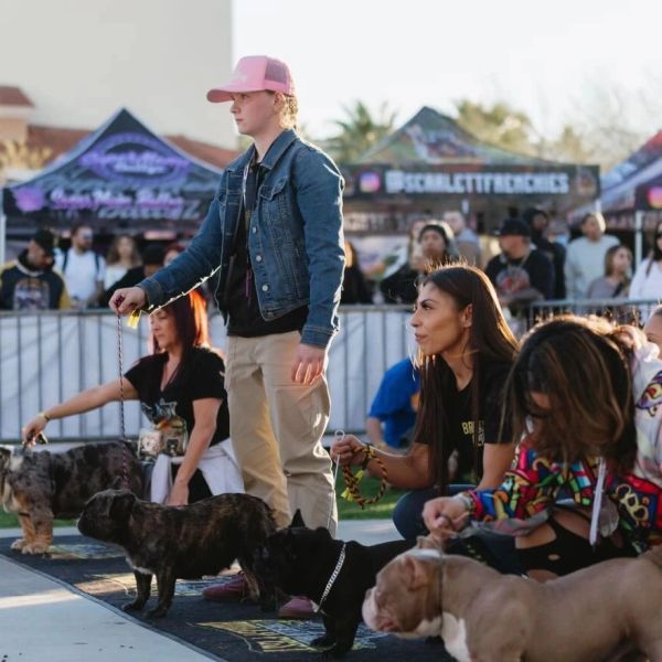 People showing off their dogs at an outdoor event.