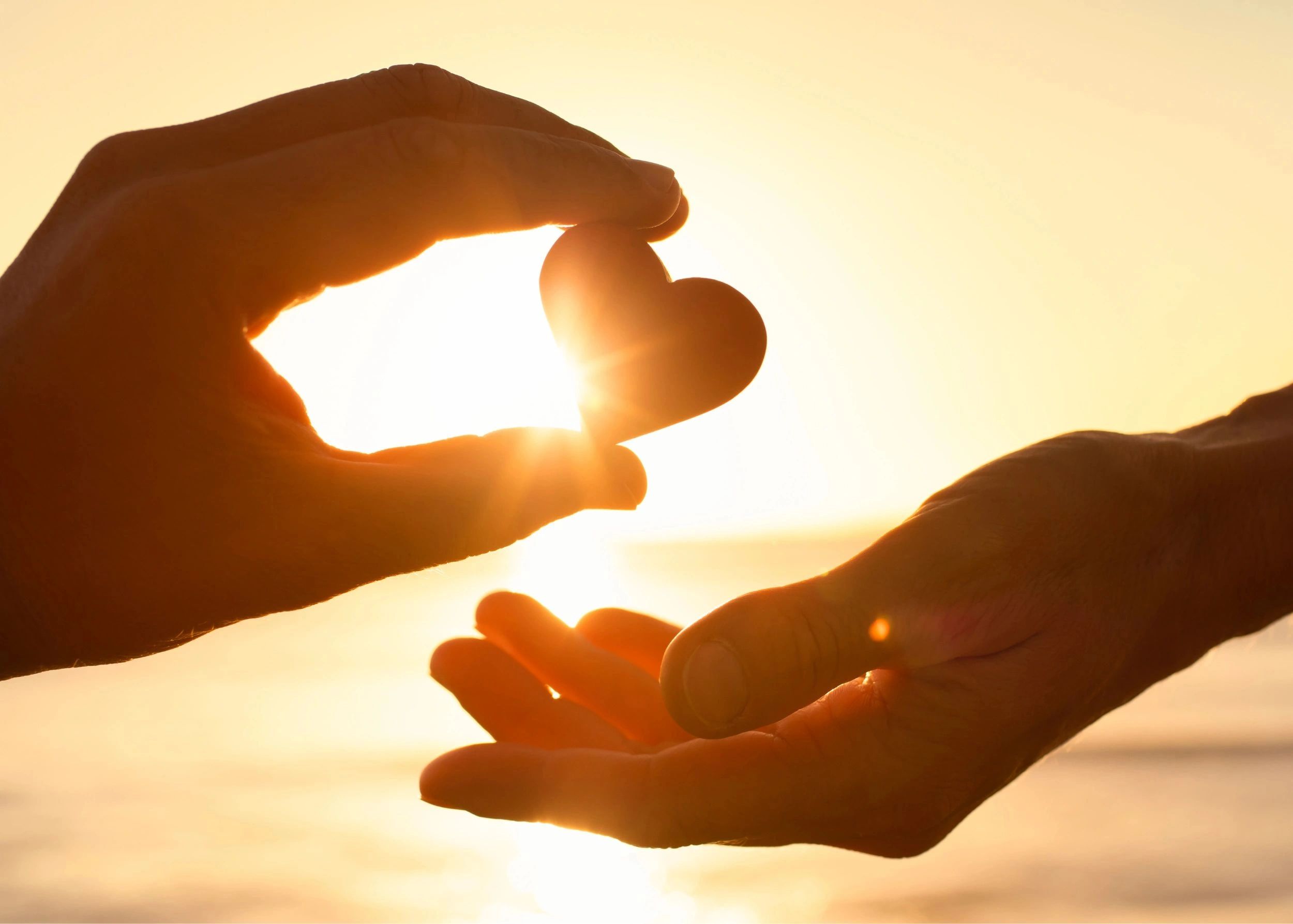 Hands holding a heart shape against the sun.