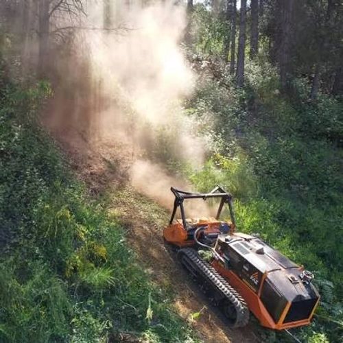 Remote Controlled Forestry Mulcher on Steep Slope