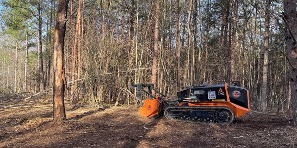 Remote Controlled forestry mulcher.
