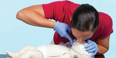 Person performing CPR on a baby mannequin.