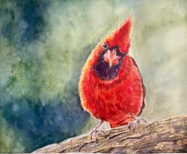 cardinal, bird, watercolor, red, nature