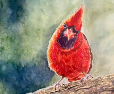 cardinal, bird, watercolor, red, nature