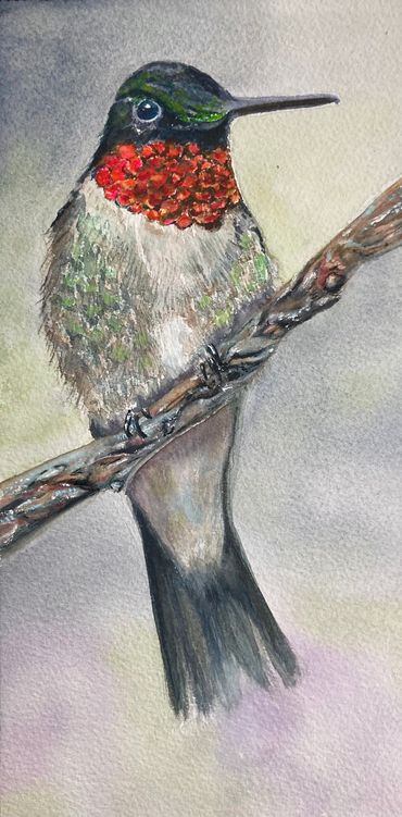 Humming bird perched on a branch