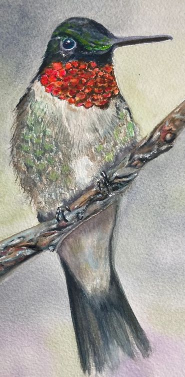 Humming bird perched on a branch