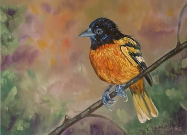 oriole, bird painting, oil painting of oriole