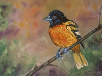 Colorful bird perched on a branch against a soft, blurred background.
