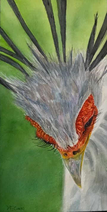 Close-up painting of a Secretarybird's head with detailed feathers and vivid orange facial skin.