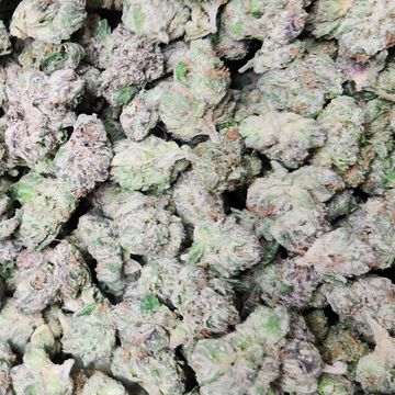 ZKITTLES SMALLS QUEEN B'Z RESERVE 