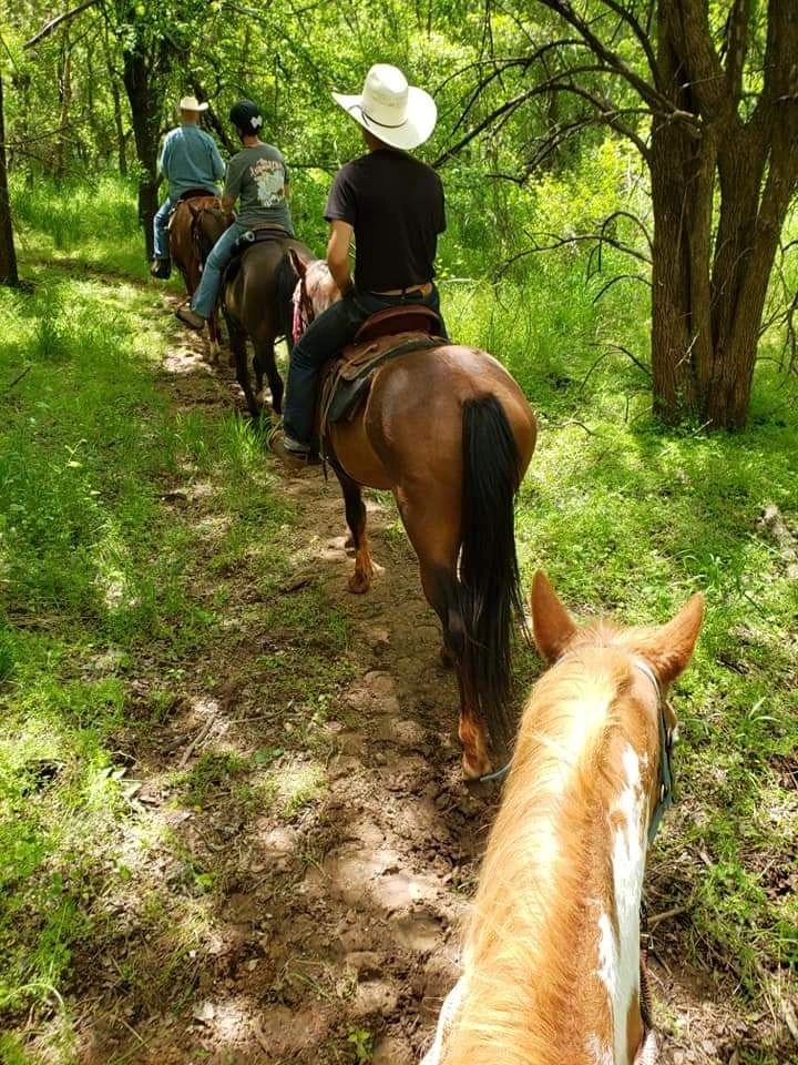 Honey Lee Ranch - Trail Rides, Rental Horses