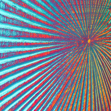 Abstract color splash