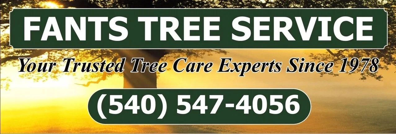 Fants Tree Service