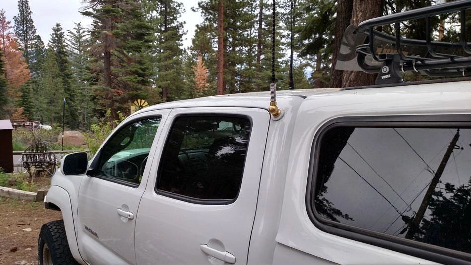 breedlovemounts.com