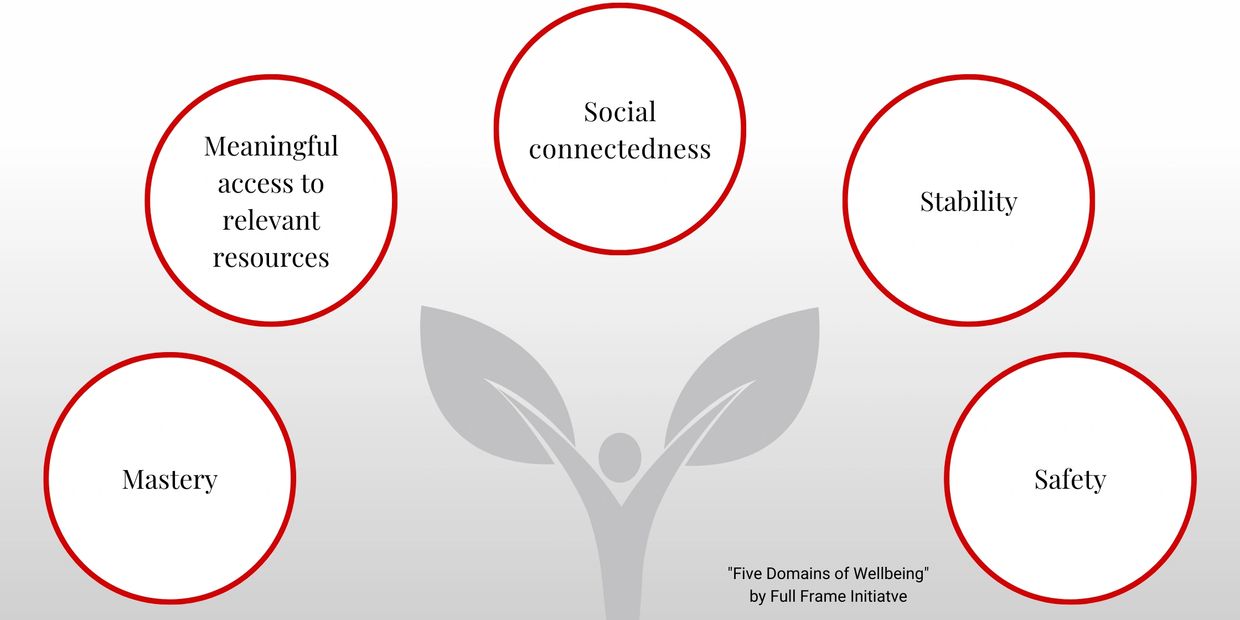 The five domains are: Social connectedness, Safety, Mastery, Access to resources, & stability