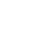 cicada-x.com
