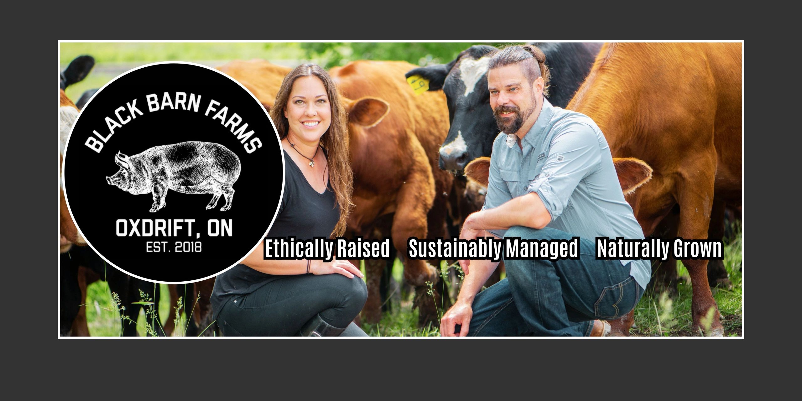 Sarah and Phil of Black Barn Farms crouch in front of their friendly cow herd