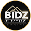 BidzElectric