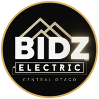 BidzElectric