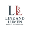 Line and Lumen: Medical Illustration