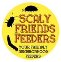 scalyfriendsfeeders.com