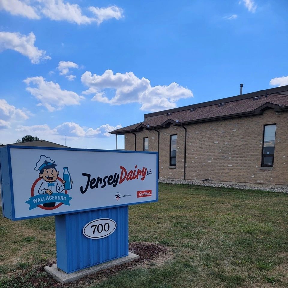 Jersey Dairy Wallaceburg Ontario Milk Bottle (Jef) Jersey Dairy Wallaceburg Ontario Milk Bottle (Jef)