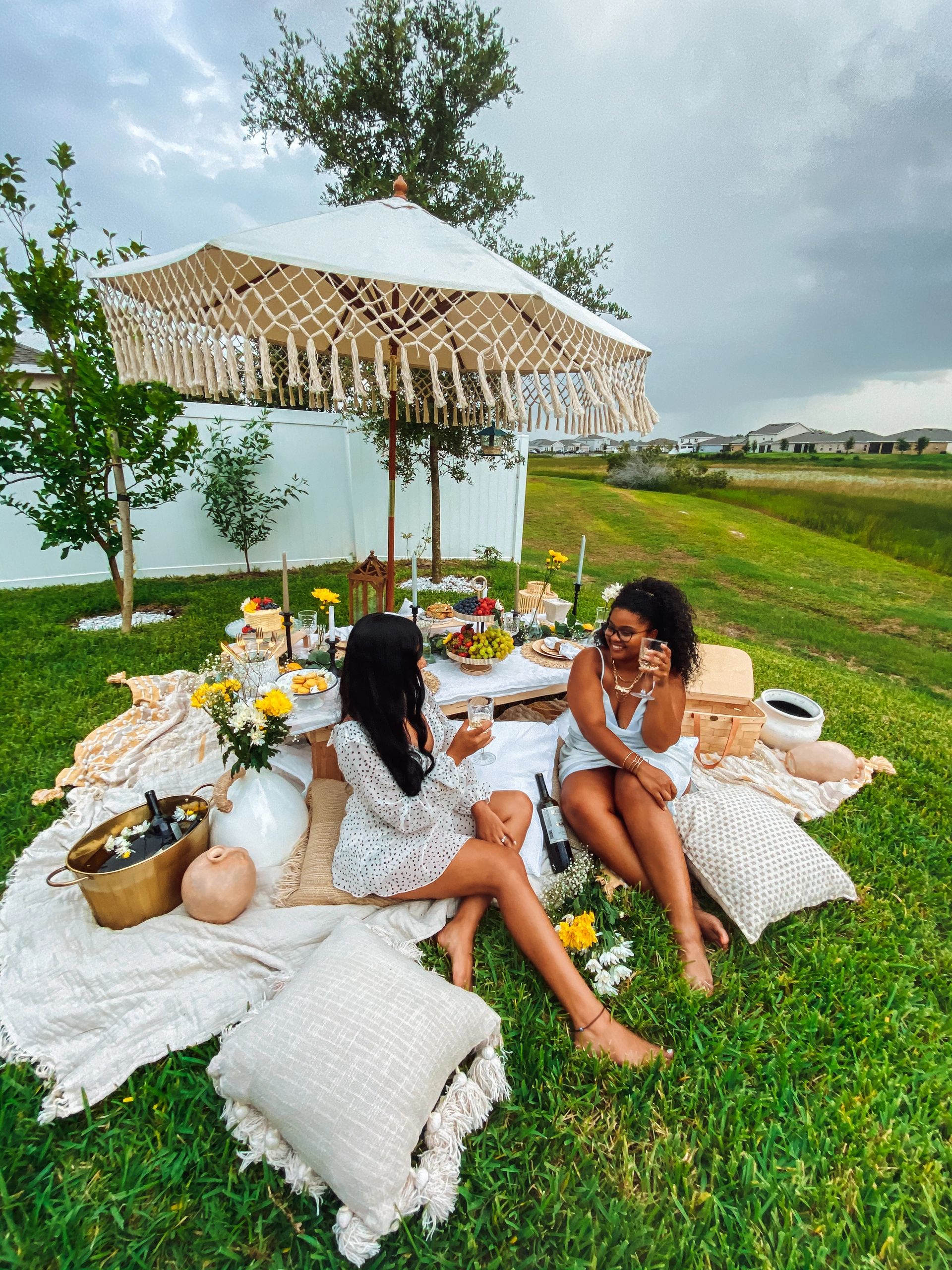 Picnic Experience The Picnic Drop