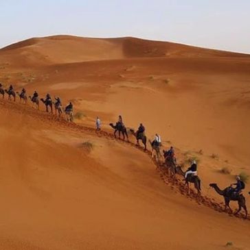 Roz leading the camel train across the Sahara during a bike tour of Morocco.