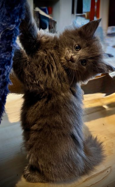 Ulrik 6.5 wks 