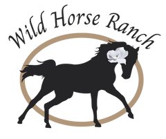A Wild Horse Ranch