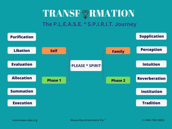 Transformation pie chart with details