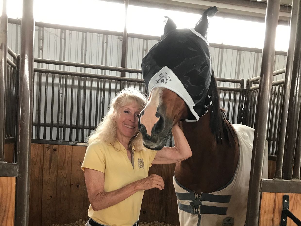 A woman taking picture with horse