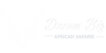 dbasafaris