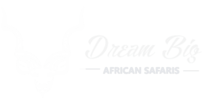 dbasafaris