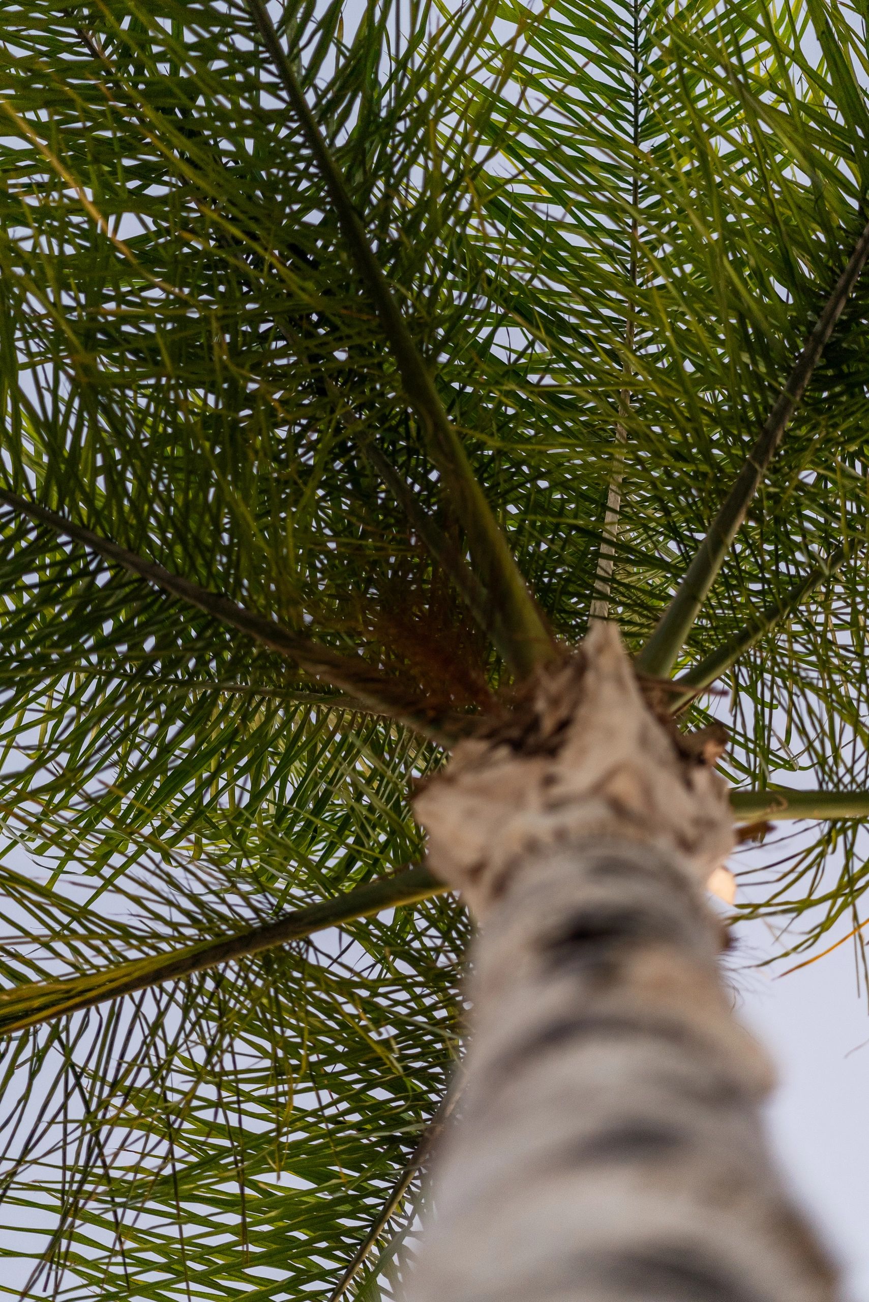 Cedar House at Arlington