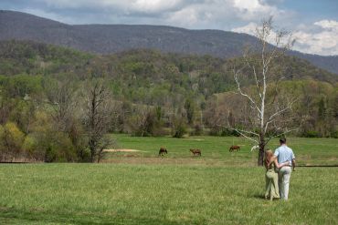 Couple walking in a grassy field towards horses and mountains.