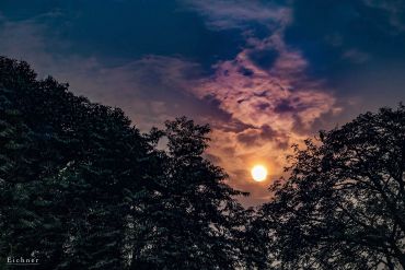 Sunset behind silhouetted trees under a cloudy sky.