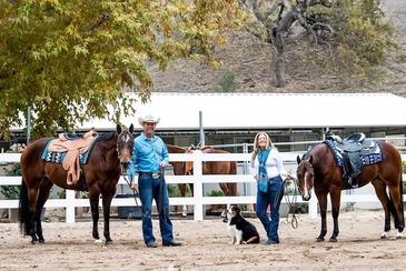 VERSZA Farm and Ranch/ Silver Lining Ranch