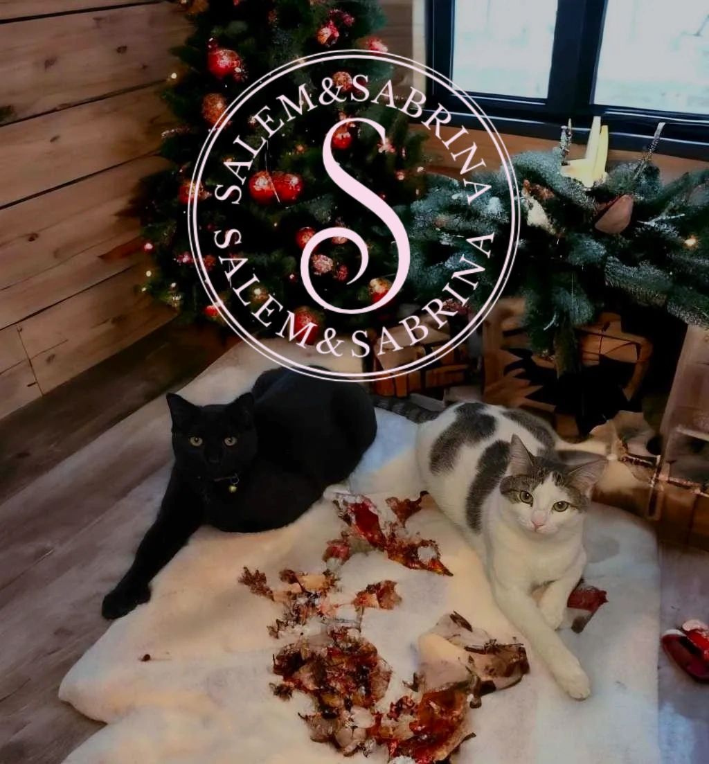 Salem & Sabrina