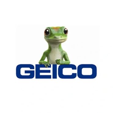 Geico Insurance