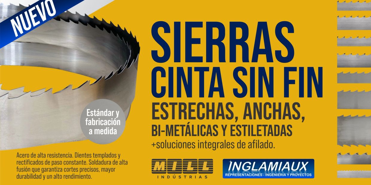 Sierras cinta sin fin para corte preciso con opciones estándar y a medida.