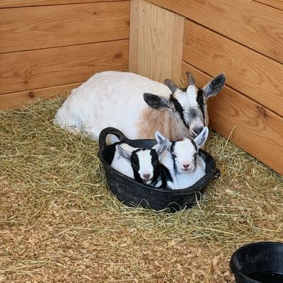 Please click picture to make your reservation today!